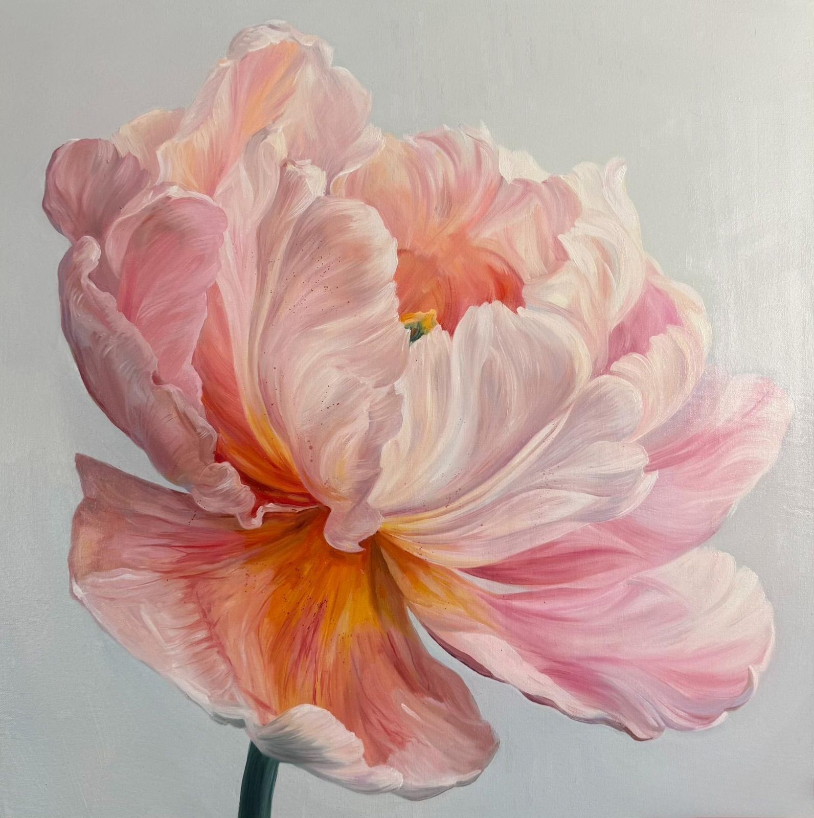 Zartrosa Tulpenblüte in Öl, Spring Kollektion