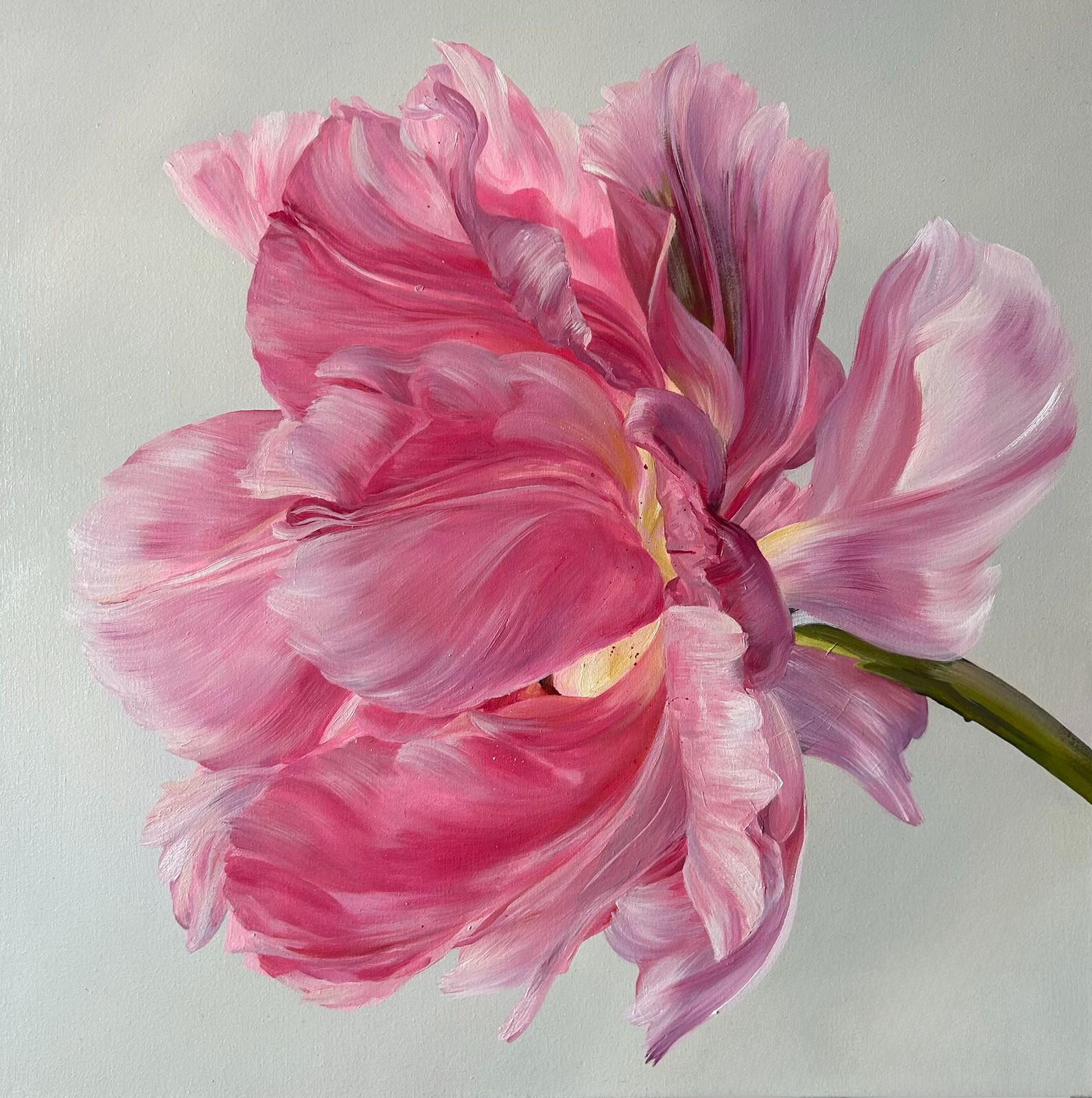 Rosa Tulpe in voller Blüte, seitlich gemalt in Öl, Spring Kollektion